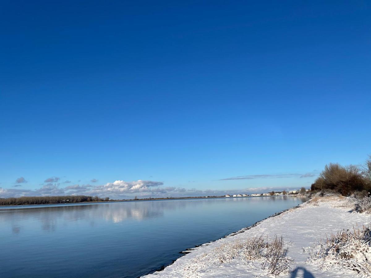 Top Ferienwohnung In Rerik - Nahe Salzhaff & Ostsee - Mit Gartenterrasse Esterno foto