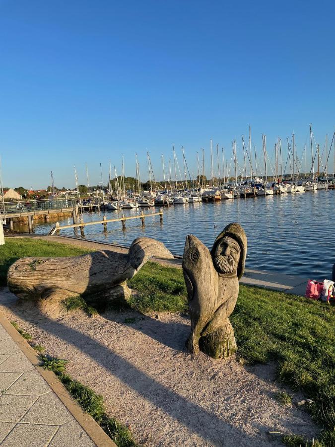 Top Ferienwohnung In Rerik - Nahe Salzhaff & Ostsee - Mit Gartenterrasse Esterno foto